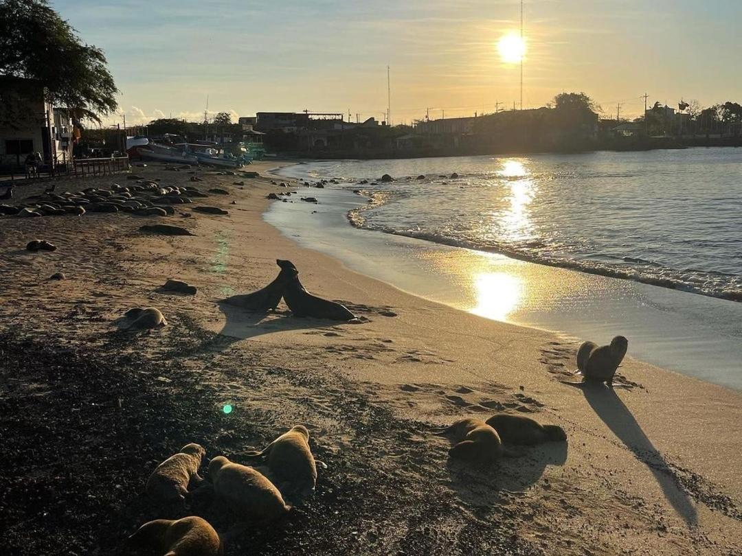 Casa D'Lucas Daire Puerto Baquerizo Moreno Dış mekan fotoğraf